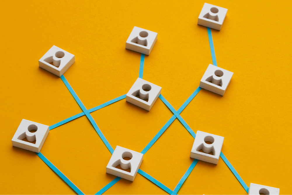Organizational Structure